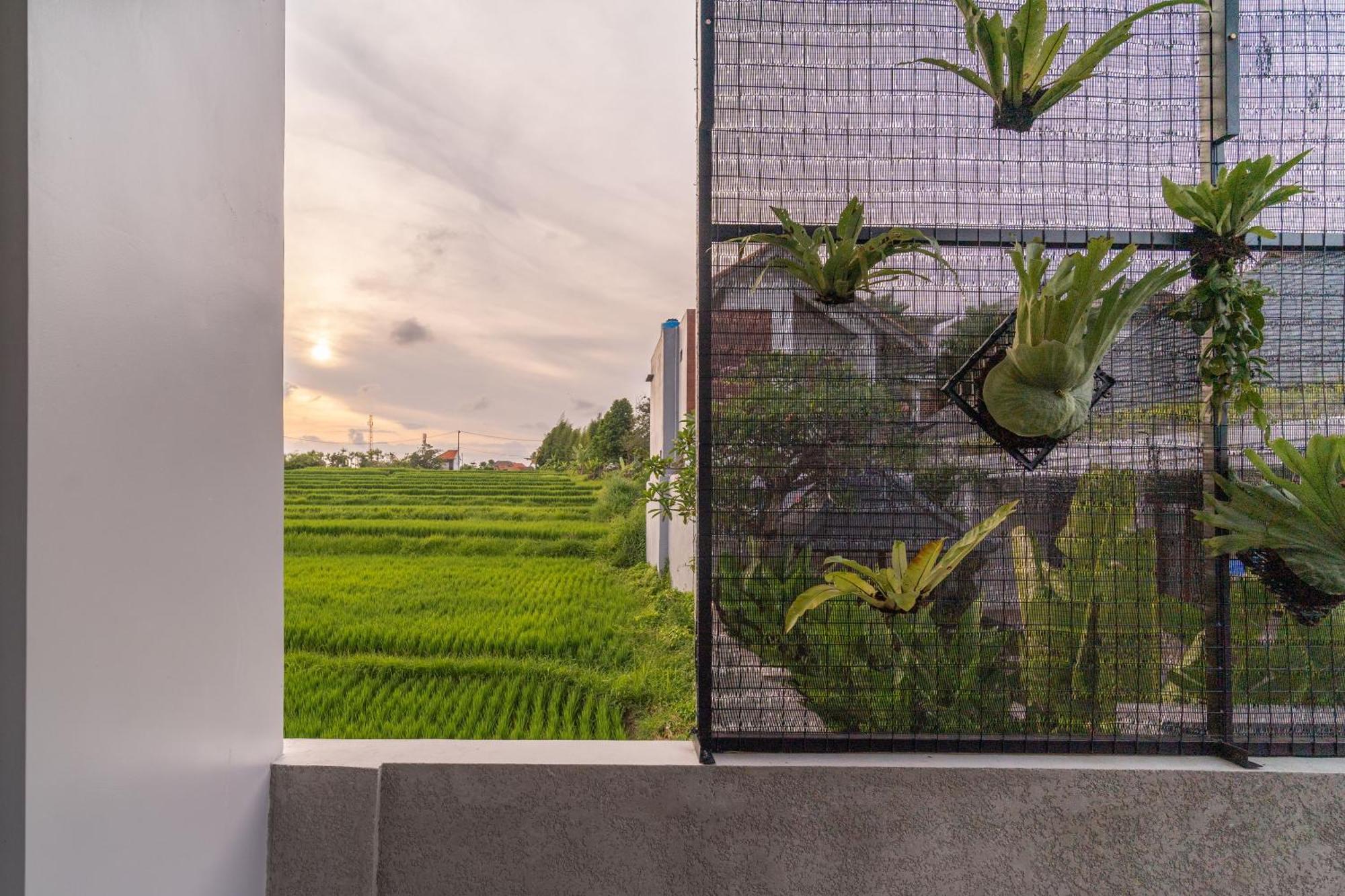 D'Macho Villas Ubud Exterior photo